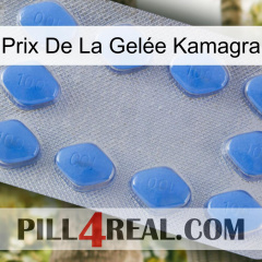 Prix De La Gelée Kamagra 21